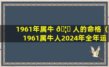 1961年属牛 🦈 人的命格（1961属牛人2024年全年运势 🌷 详解）